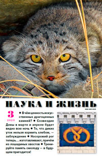 «Наука и жизнь» №3, 2020