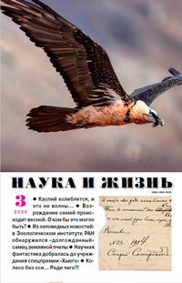 «Наука и жизнь» №3, 2025
