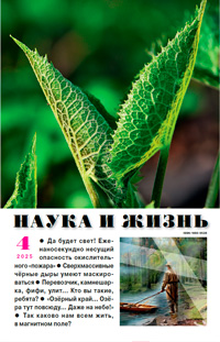 «Наука и жизнь» №4, 2025
