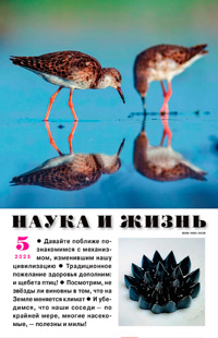 «Наука и жизнь» №5, 2025