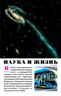 «Наука и жизнь» №6, 2025