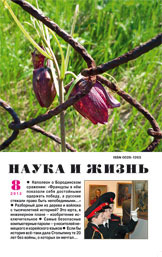 «Наука и жизнь»  №8, 2012