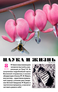 «Наука и жизнь» №8, 2019