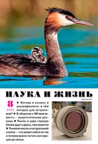 «Наука и жизнь» №8, 2025