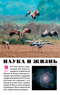 «Наука и жизнь» №9, 2025
