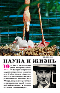 «Наука и жизнь» №10, 2015