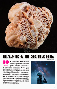 «Наука и жизнь» №10, 2025