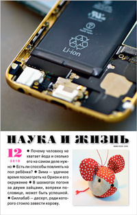 «Наука и жизнь» №12, 2019