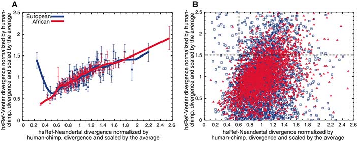 Cегменты, похожие у кроманьонцев и неандертальцев, могут сильно отличаться у европейцев