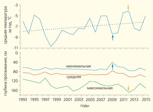 Рис. 5. Температура воздуха за 1993–2015 гг. по данным метеостанции Марре-Сале и глубины сезонного протаивания за те же годы по данным мониторинга на геокриологическом полигоне Васькины  Дачи («Природа» №2, 2016)