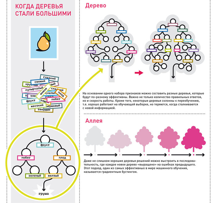 Как вырастить дерево решений («Популярная механика» №10, 2017)