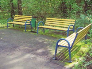 Рис. 1. Распределение мха под дощатой скамейкой может определяться игрой разных факторов («Квант» №7, 2018)