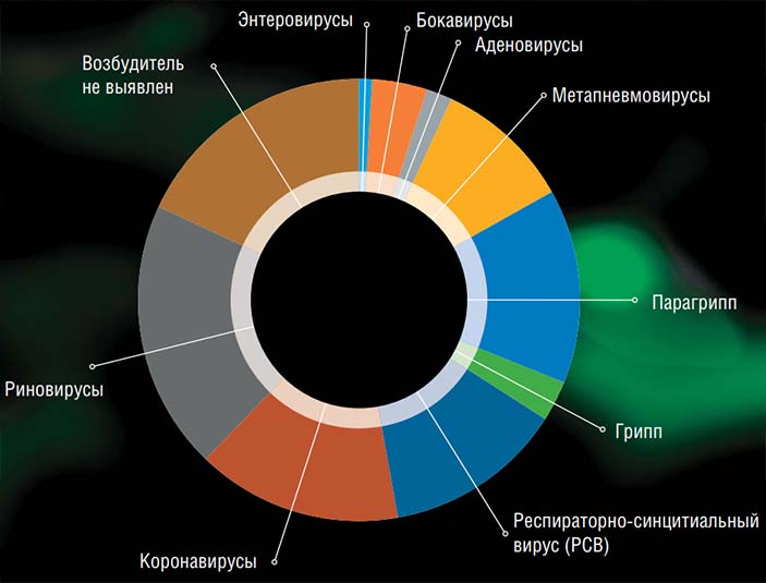 В течение года у нас есть шанс встретиться с целым букетом различных вирусов