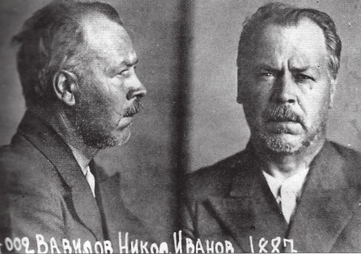 Н. И. Вавилов («Троицкий вариант» №25, 2020) 