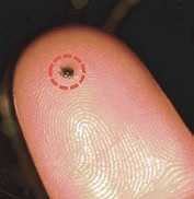 Длина одной синтетической акульей чешуйки всего 1,5 мм