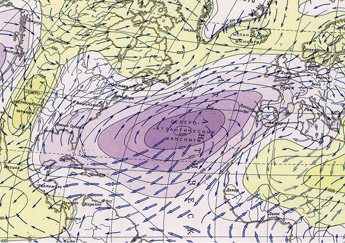 Перелётные птицы и океанские ветры 2