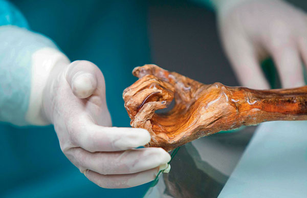 Пещера костей: самая странная археологическая находка («Популярная механика» №4, 2016)