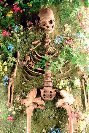 Скелет в иракской пещере Шанидар (реконструкция) («Популярная механика» №4, 2016)