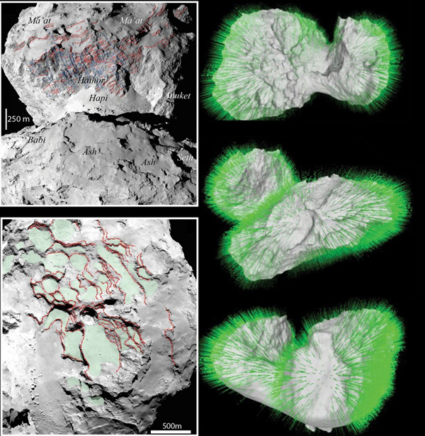 Две доли кометы Чурюмова—Герасименко. Снимки высокого разрешения в левой колонке визуализируют 100 террас (<i>зелёный цвет</i>) и пласты — параллельные слои материала (<i>красные линии</i>) — на склонах скал и впадин. <i>Справа</i>: локальные векторы силы тяжести (гравитации), нанесённые на модели кометы перпендикулярно плоскостям террас и пластов, — дополнительный аргумент в пользу независимой природы двух частей кометы. Изображение: ESA