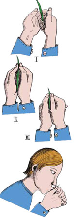 Поющая травинка («Квантик» №4, 2015)