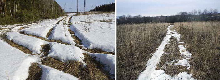 Дорога в поле («Квантик» №12, 2017)