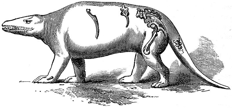 Хищный динозавр Megalosaurus, реконструкция Оуэна