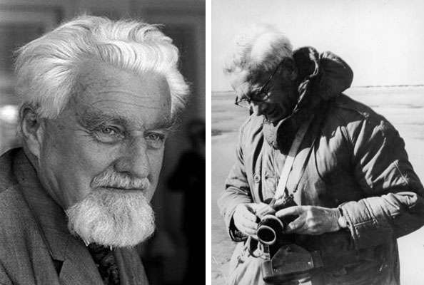 Конрад Лоренц и Нико Тинберген («Коммерсантъ Наука» №47, октябрь 2019)