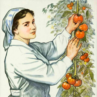 Про поля и огороды