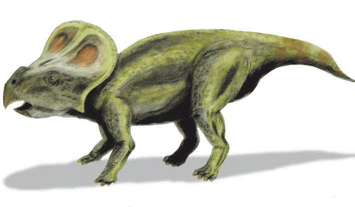 Реконструкция P. andrewsi («Википедия»)  («ТрВ» №13(257), 03.07.2018)