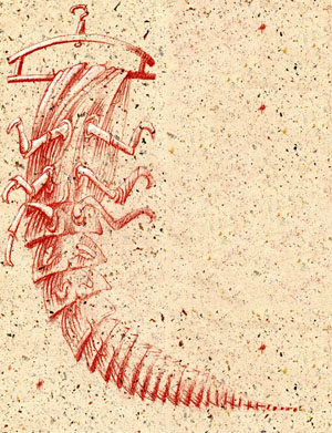 Рисунок П. Перевезенцева («Химия и жизнь» №1, 2020)