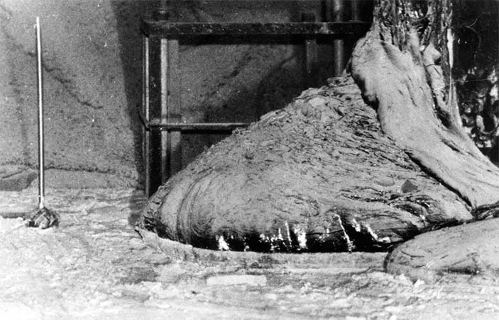 Рис. 2. Фотография перевернутой чернобыльским взрывом верхней плиты биологической защиты реактора «Е»