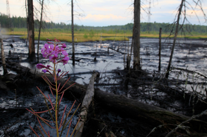 «ТрВ» №12(306), 16.06.2020