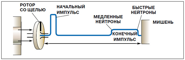 Рис. 1. Схема опыта Блохинцева по разделению нейтронов по энергиям методом пролёта. Нейтроны разной энергии (и, следовательно, с разной скоростью) вылетают из реактора и попадают на селектор-прерыватель — вращающийся диск с щелью. Сквозь щель проходит импульс из смеси нейтронов с разными скоростями. После пролёта к мишени импульс растягивается: быстрые нейтроны приходят первыми, медленные отстают. Изображение: «Наука и жизнь»