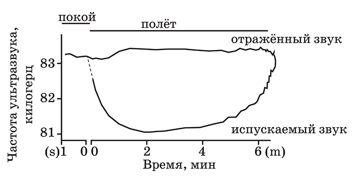 Рисунок из статьи Schnitzler H.-U., Denzinger A. (2011)