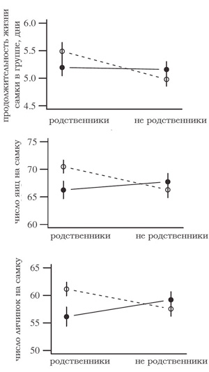 Влияние родства и знакомства самцов четырехпятнистой зерновки на продолжительность жизни самок, количество отложенных ими яиц и вылупившихся личинок <a name=b1></a><a href=/nauchno-populyarnaya_biblioteka/433900/Rodstvo_i_znakomstvo_na_blago_potomstva#1>[1]</a>. Знакомые самцы обозначены <i>белыми кружочками</i>, незнакомые — <i>черными</i>  («ТрВ» №4(243), 05.12.2017)