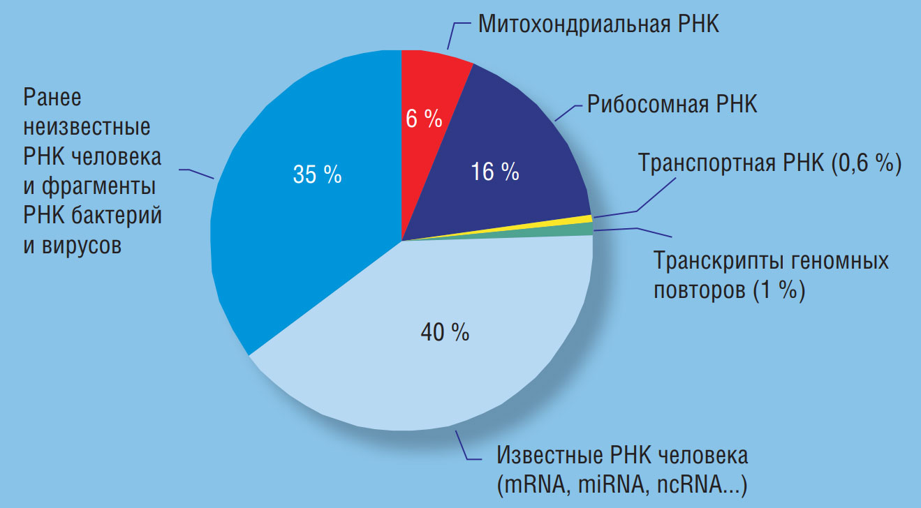 В ИХБФМ СО РАН было проанализировано свыше 1 млрд нуклеотидных последовательностей из образцов плазмы крови здоровых людей и больных, при этом было обнаружено множество РНК-последовательностей разного происхождения