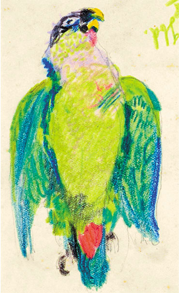 «Попугай». Рис. Г.Г.Манизера