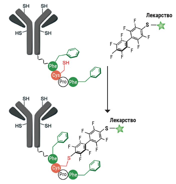 Сила пустоты, или Путеводитель по π-дыркам