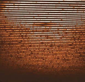 Рис. 11. Пример спектра звезды, полученного на спектрографе скрещенной дисперсии БТА («Природа» №3, 2017) 