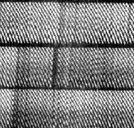 Рис. 12. Небольшой фрагмент интерферограммы, полученной на БТА («Природа» №3, 2017)