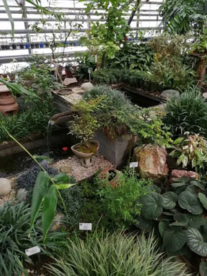 ЦСБС СО РАН («Троицкий вариант» №13, 2021)