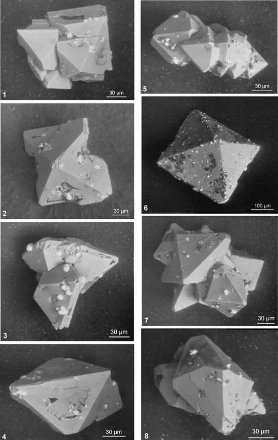 Кристаллы высокоуранового техногенного циркона (Zr, U)SiO4, извлеченные при частичном растворении чернобыльских «лав» в плавиковой кислоте