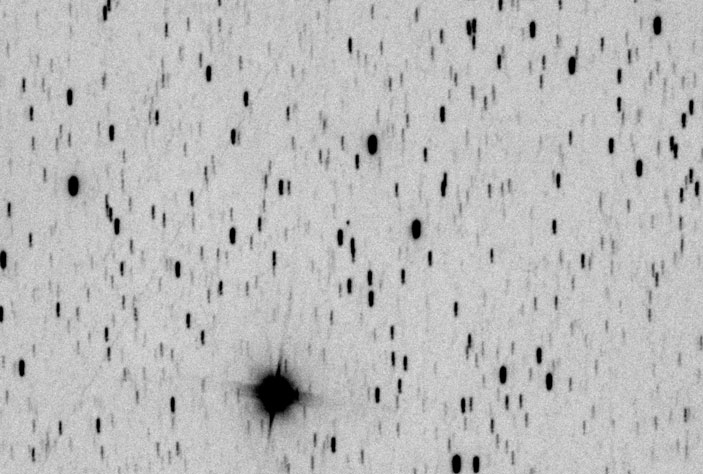 Вот он, межзвездный гость! Фото автора