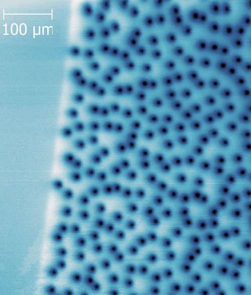 Изображение вихрей в пленке оксида иттрия-бария-меди (YBCO) толщиной 200 нм, полученное с помощью сканирующей сквид-микроскопии