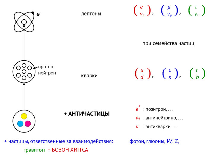 Частицы, из которых состоит обычная материя