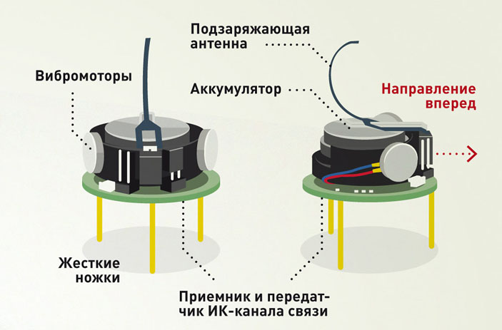 Устройство крошечных программируемых роботов, «к-атомов» («Популярная механика» №7, 2017)