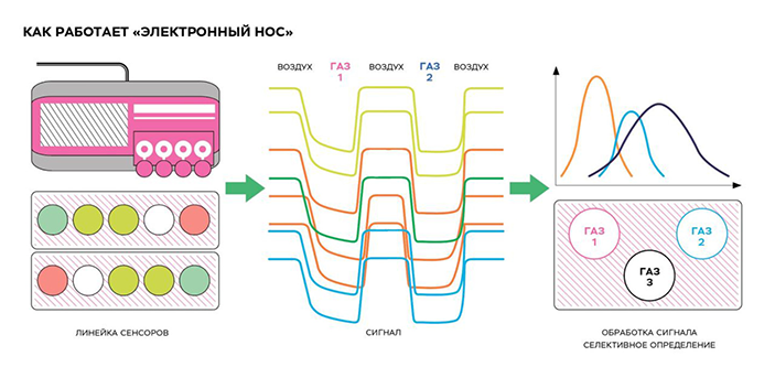 Умный нос 2