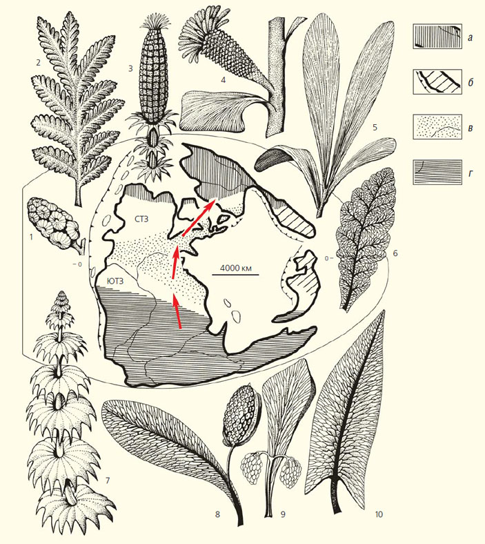 Палеофитогеография пермского периода («Природа» №7, 2020) 