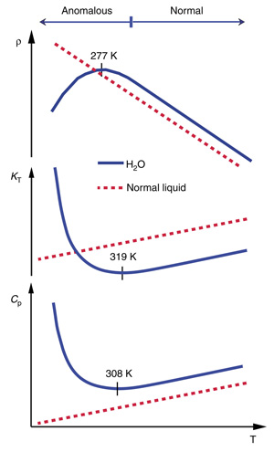Сравнение поведения плотности, сжимаемости и теплоемкости воды (<i>сплошная линия</i>) и обычной жидкости. Плотность после +4°С убывает, тогда как у обычной жидкости растет, со сжимаемостью и теплоемкостью ситуация обратная. Изображение: <i>Nature</i>