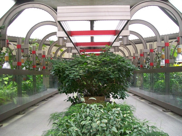 Зимний сад Института биоорганической химии РАН («Знание — сила» №1, 2020)